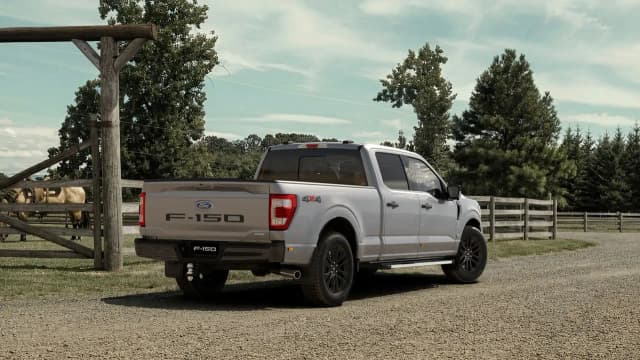 Ford F-150 in silver beside a timber stockyard fence, rear three-quarter view
