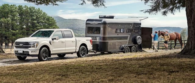 Ford F-150 in white towing a horse float on a rural property