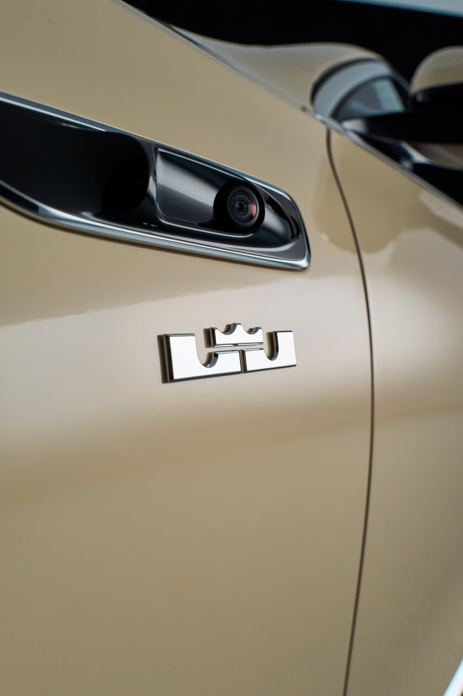 The bespoke logo badge where the V12 badge normally sits
