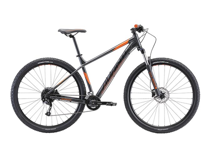Avanti Montari 2
