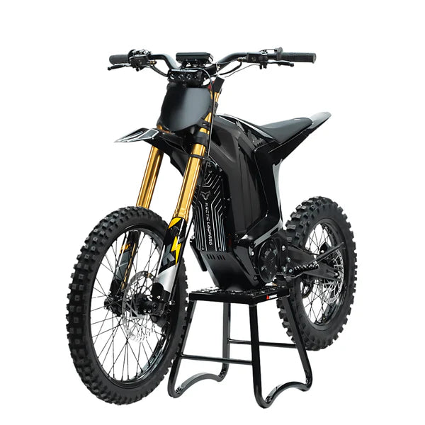 Arctic Leopard XE Pro S electric dirt bike